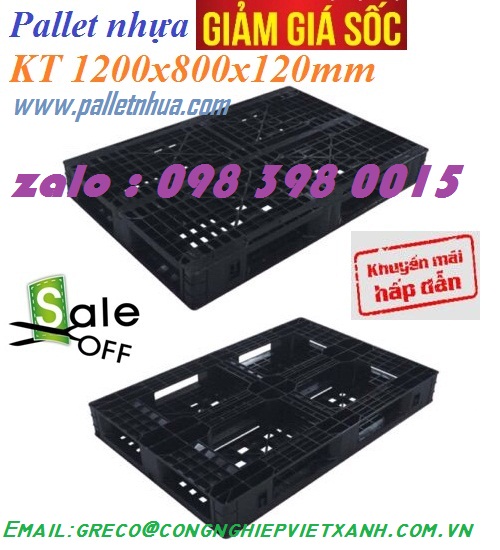 Pallet Nhựa kT 1200 x 800 x 120mm