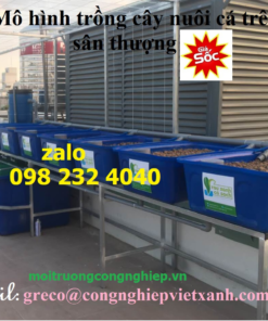 Mô hình trồng rau, nuôi cá trên sân thượng